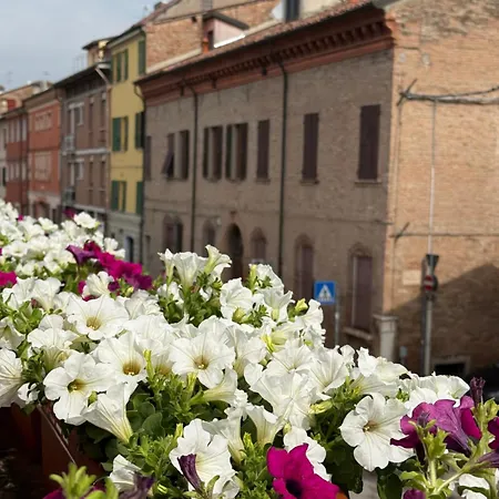 ディモーラ '800 3*